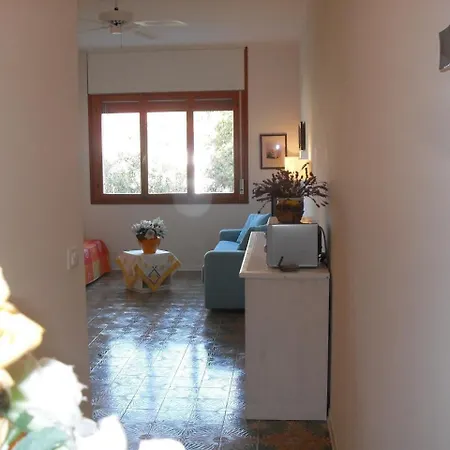 Studio In 24597 *